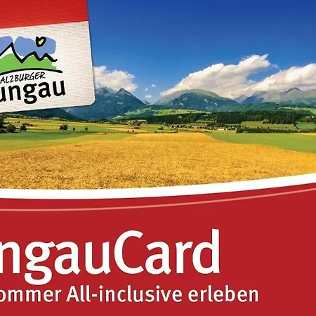 Haus Lassacher 아파트 *