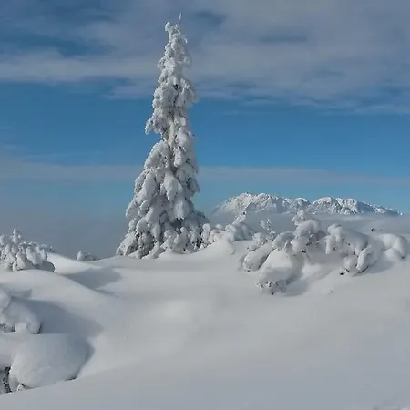 아파트 Haus Lassacher 상트미카엘임룽가우