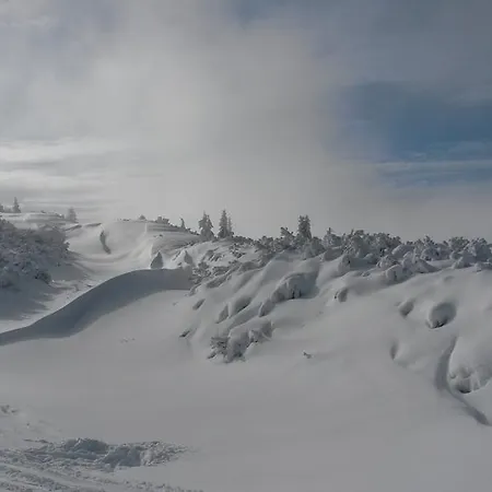 Haus Lassacher 아파트