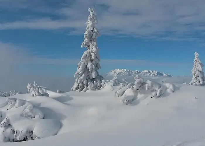 公寓 Haus Lassacher 圣迈克尔隆高